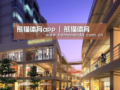 案例展示一(图1)