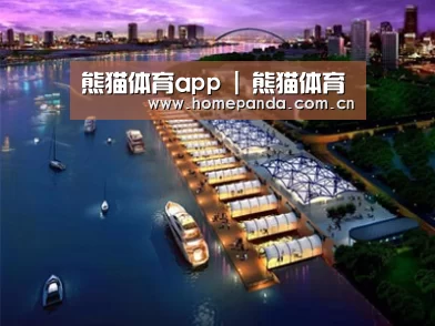 案例展示八
