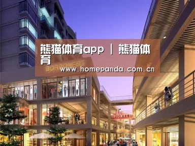 案例展示一