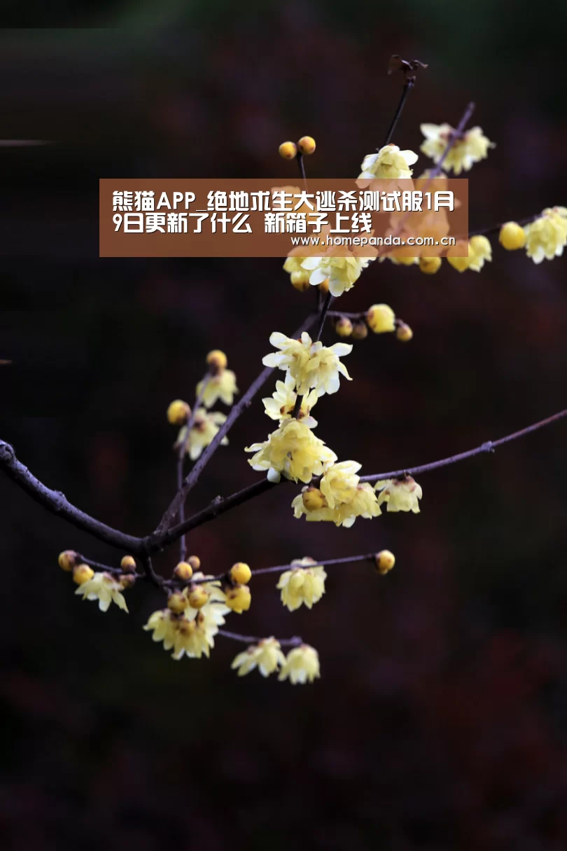 熊猫APP_绝地求生大逃杀测试服1月9日更新了什么 新箱子上线(图1) 熊猫APP