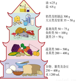 实时比分