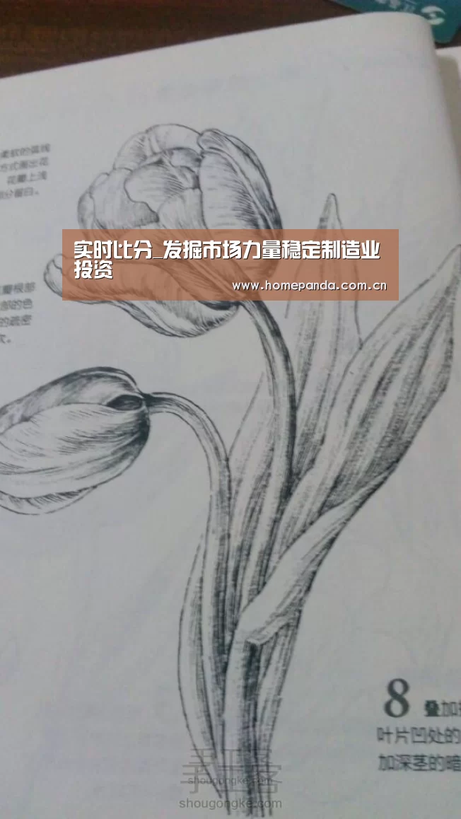 实时比分_发掘市场力量稳定制造业投资(图4) 熊猫体育