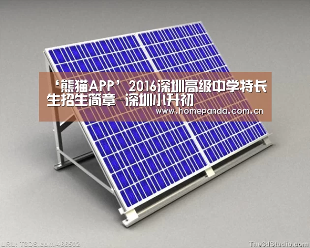 ‘熊猫APP’2016深圳高级中学特长生招生简章-深圳小升初(图2) 熊猫体育app