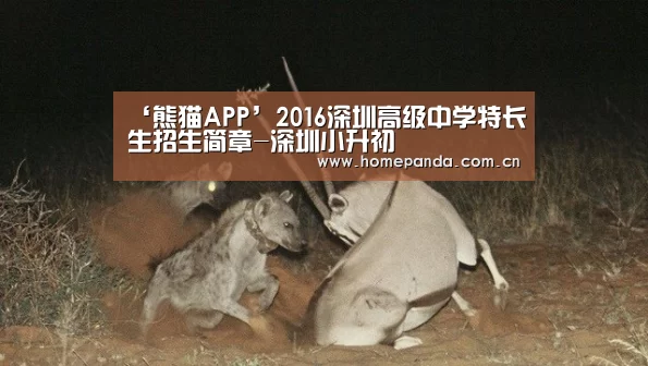 ‘熊猫APP’2016深圳高级中学特长生招生简章-深圳小升初(图4) 熊猫APP