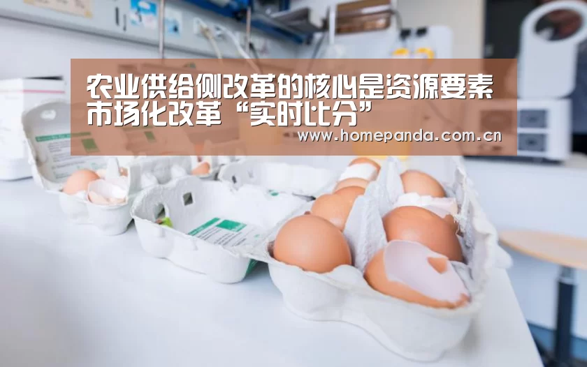 农业供给侧改革的核心是资源要素市场化改革“实时比分”(图1) 熊猫体育app