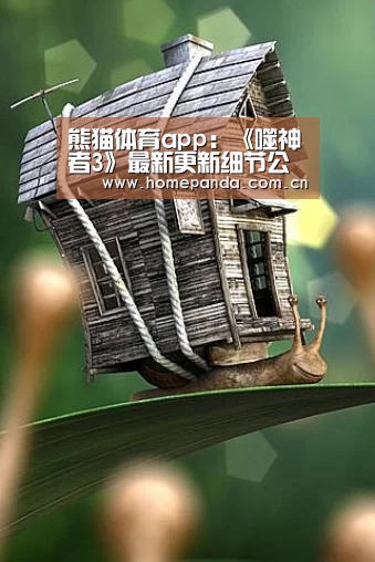 实时比分