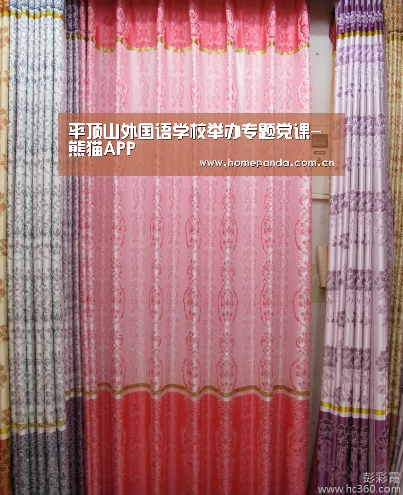 平顶山外国语学校举办专题党课-熊猫APP(图2) 熊猫体育