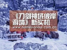 实时比分