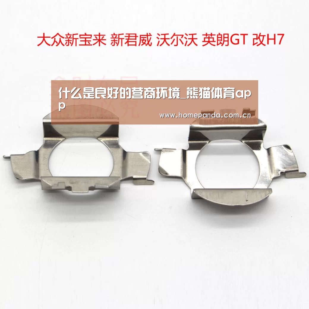 什么是良好的营商环境_熊猫体育app(图1) 熊猫APP