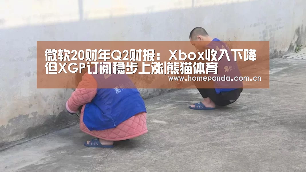 熊猫体育app